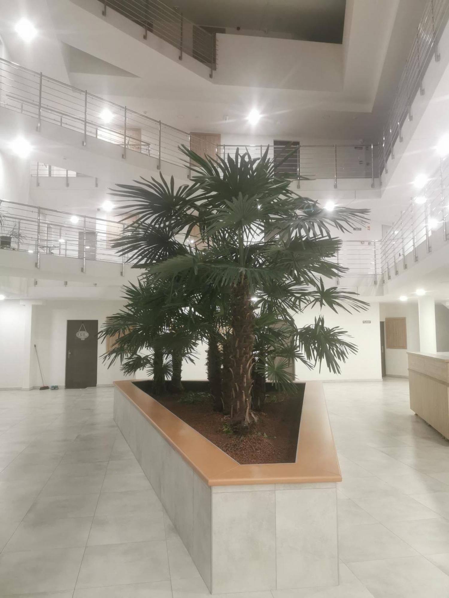 Beli Apartman Melygarazzsal Хевиз Экстерьер фото